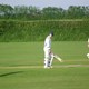 cricket june 09 010.JPG